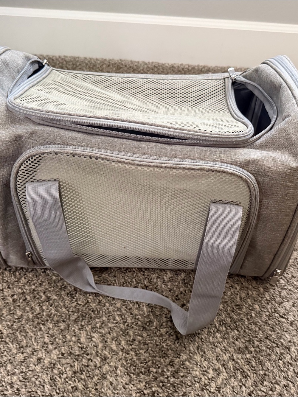 Dog / Cat Carrier